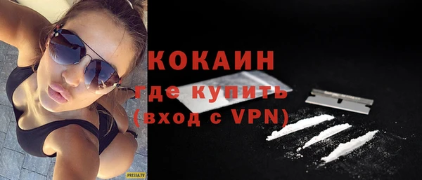 крисы Алексин
