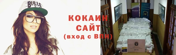 сатива Пересвет