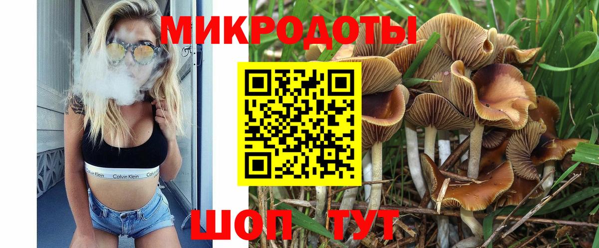 Галлюциногенные грибы мухоморы  Галлюциногенные грибы MAGIC MUSHROOMS  Тайшет  Вход с VPN 